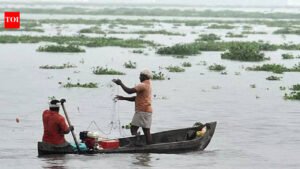 Monsoon may hit Andamans this week: IMD | India News