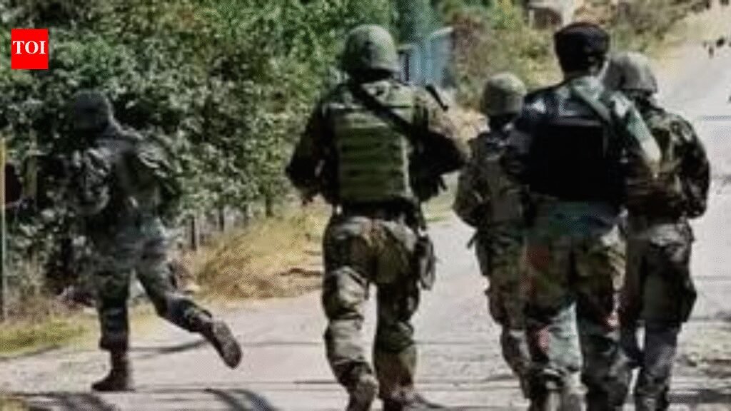 Anti-terror search operation launched across J&K’s Poonch district