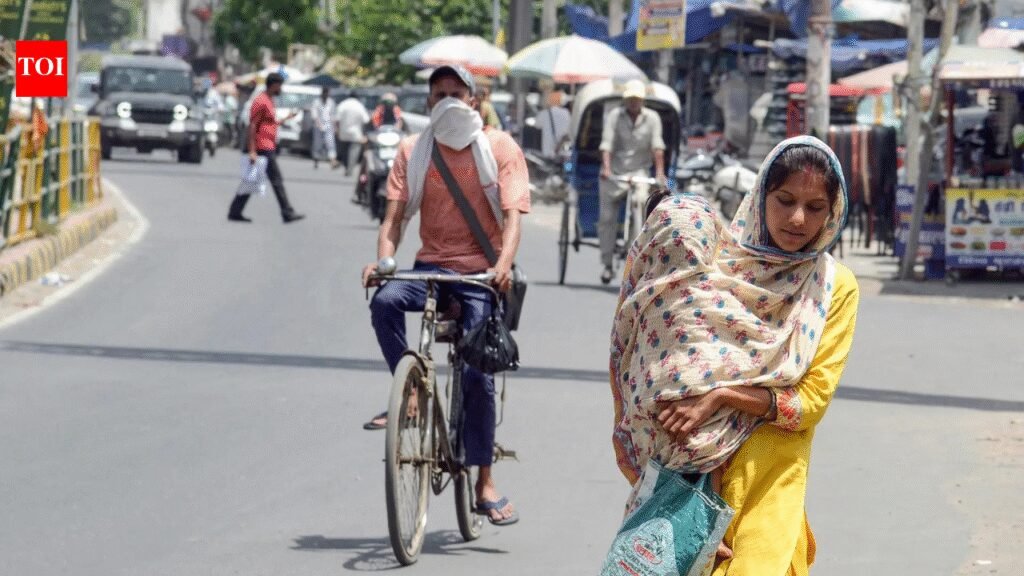 Severe Heatwave Alert: Prepare for Extreme Temperatures in Delhi, UP, Punjab, and Haryana | India News