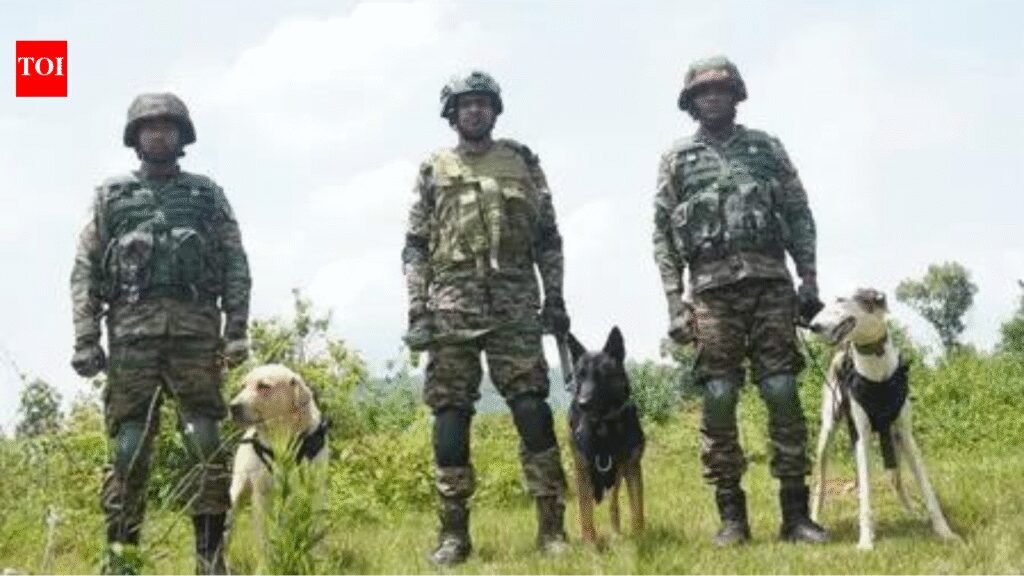 Operation Sheruwali enters day 4, searches intensified | India News