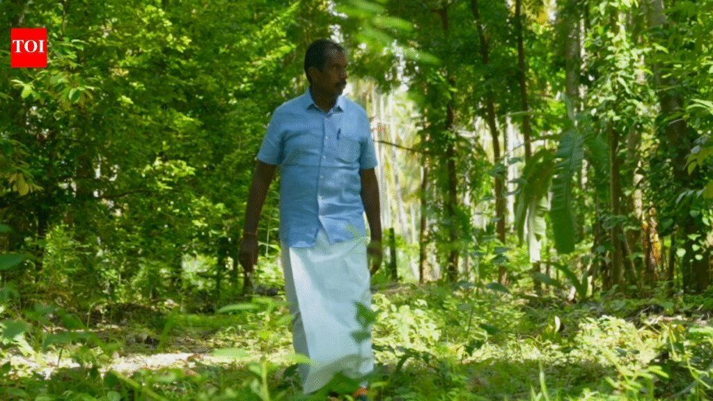 UN-honoured TN farmer turned coconut losses into profits with multi-crop, tree-based farming | India News