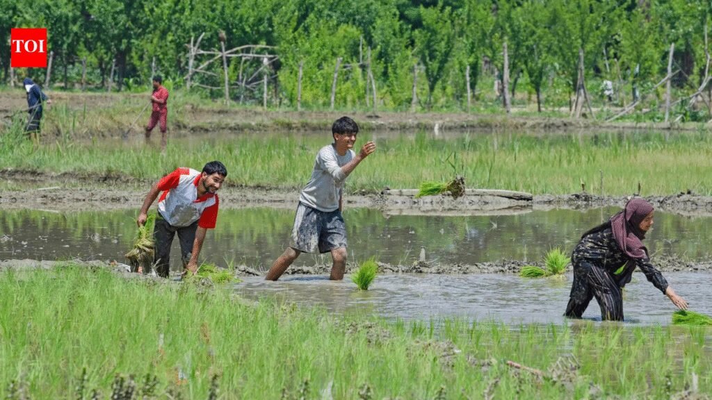 Government braces for a tough sowing season ahead | India News