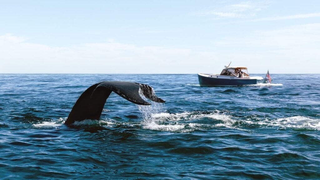 What’s New on Cape Cod and the Islands This Summer—and the Underrated Spots to Explore