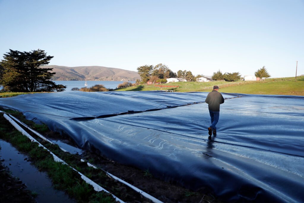 USDA Extends Pause on Loans for Controversial Digesters That Turn Manure Into Biogas