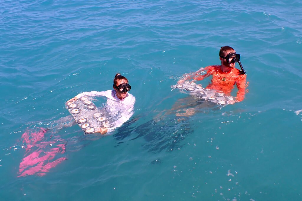 Scientists Outplant Experimental ‘Flonduran’ Corals in Florida’s Dry Tortugas National Park
