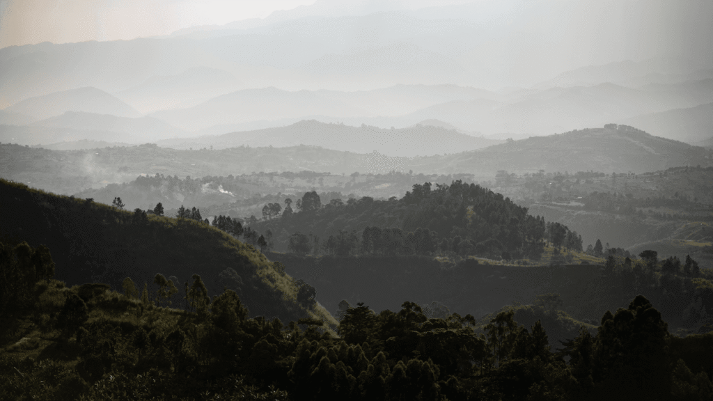 In Uganda, The Gorillas Are Only Part of The Appeal