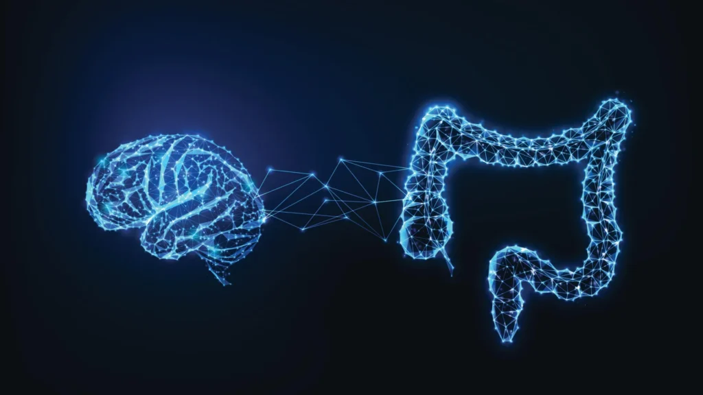 Scientists discover hidden gut-brain circuit that triggers protein cravings
