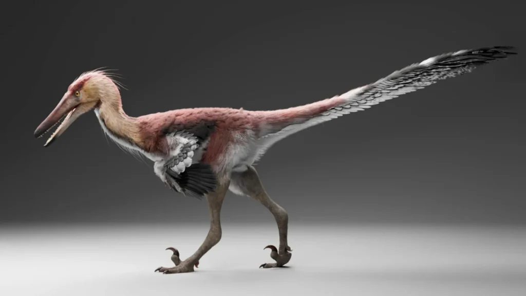 This newly discovered raptor may have hunted like a giant heron
