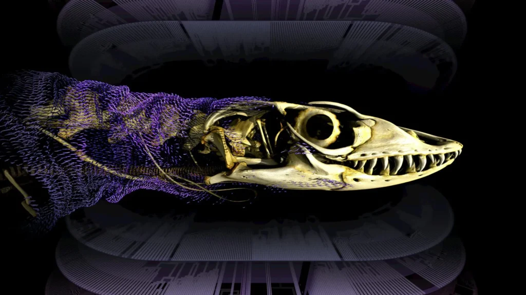 Scientists solve 320-million-year mystery of reptile bone armor