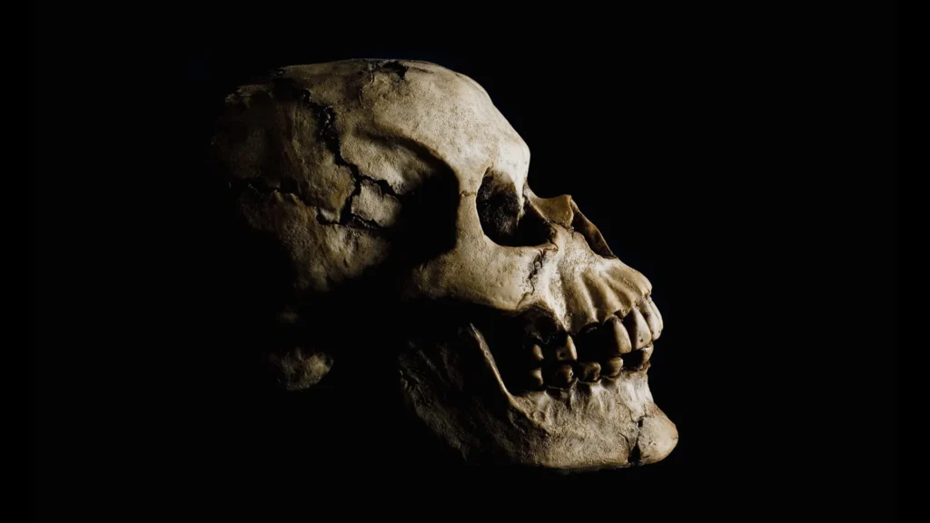 Stunning fossil discovery in Ethiopia rewrites human origins