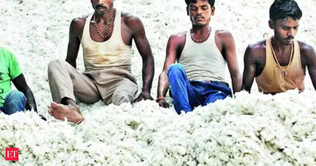 Cotton prices down 3% on import duty suspension, may slide more