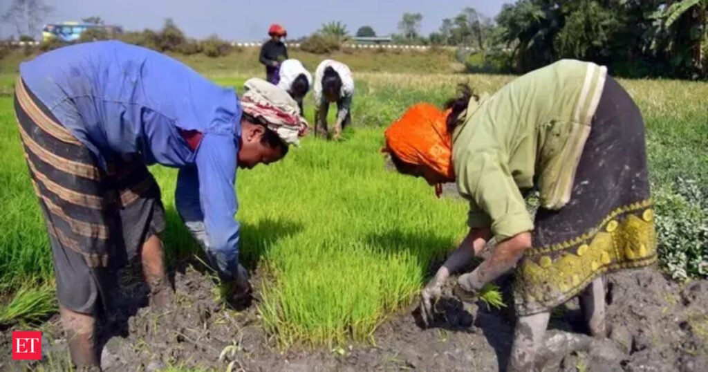 States asked to focus on sowing pulses, oilseeds