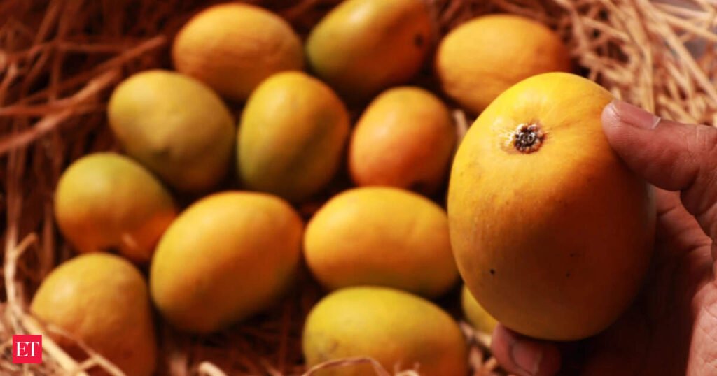 Nepal govt restricts imports of mangoes from India