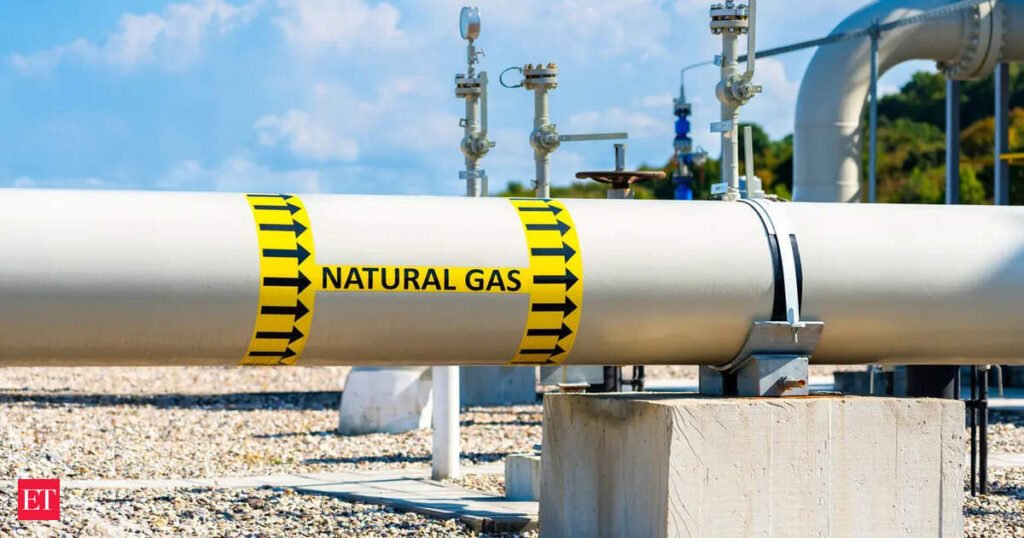 Companies seek lifting of curbs on gas pipeline integration