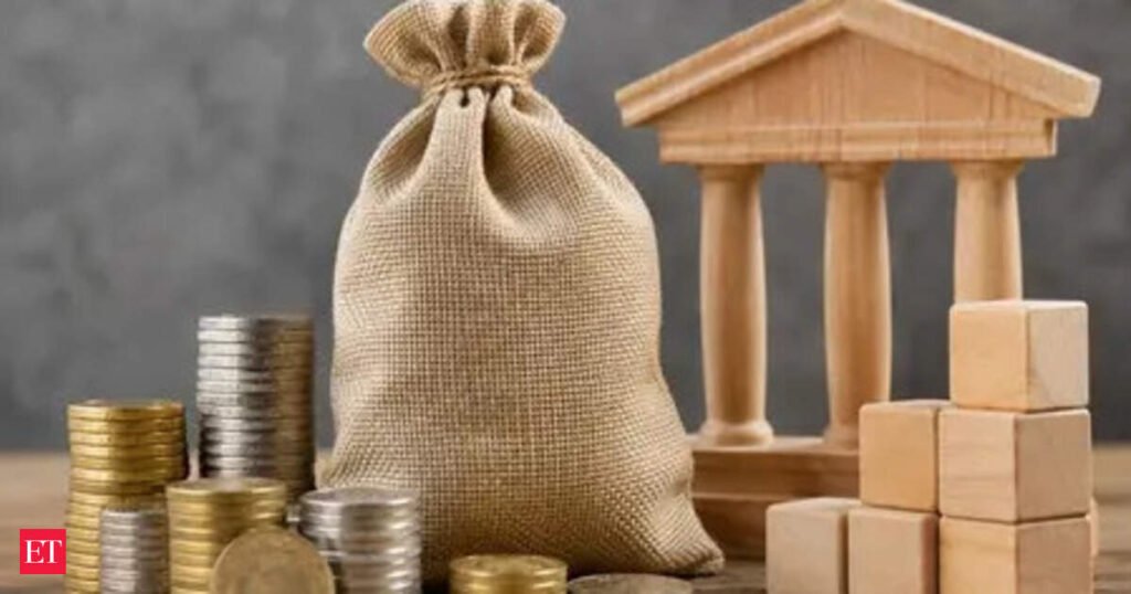 Over 1 lakh guarantees totalling Rs 48,484 cr issued under ECLG scheme since May 5: FinMin