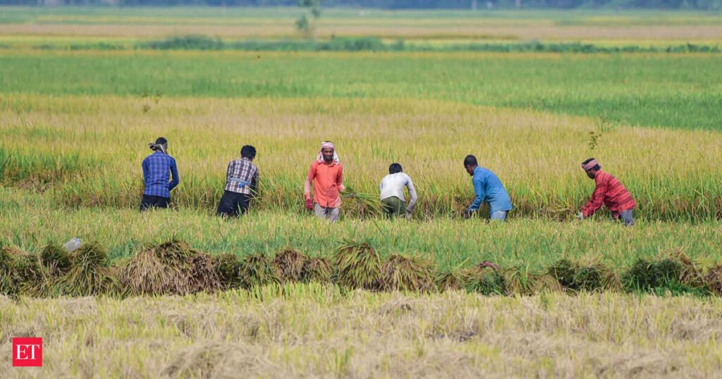 South Asia can generate millions of jobs through agriculture sector: World Bank Group