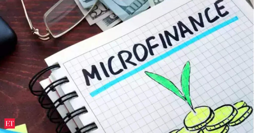 Risks cloud hover over microfinance