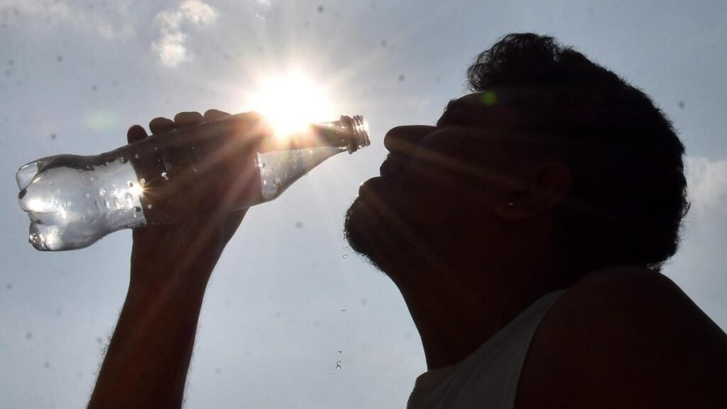 Heatwaves and ozone together increase India’s cardiac deaths: study