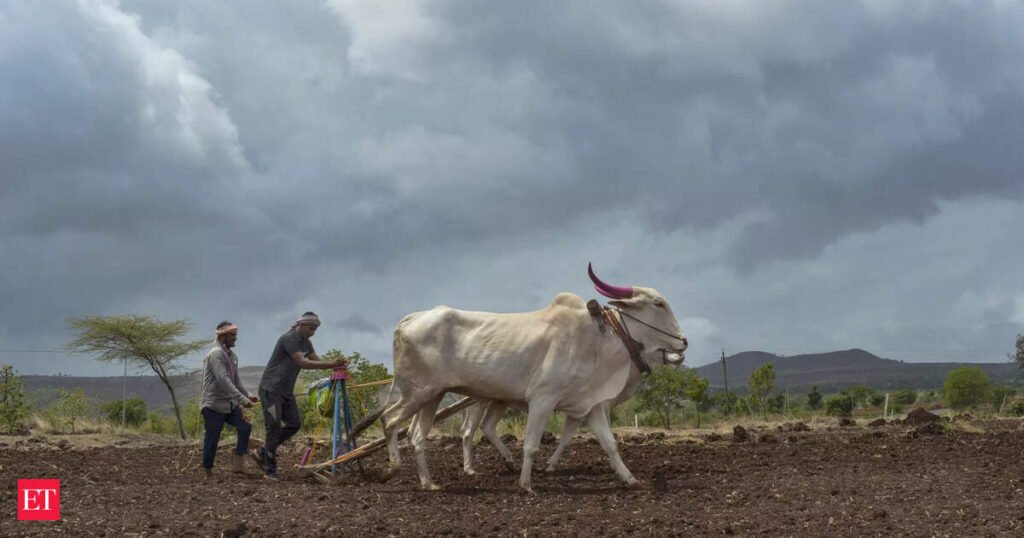 Maharashtra advises farmers to delay sowing as monsoon rains fall short
