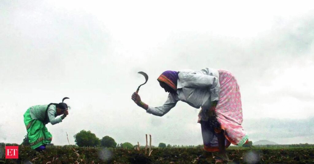 El Nino to hit 9-10 states severely; Chouhan calls for district-level contingency plans for Kharif
