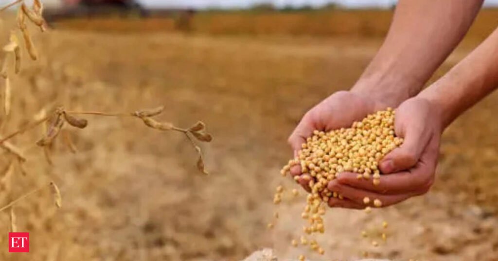 Indian soybean acreage expected to rise on higher prices, weak monsoon outlook