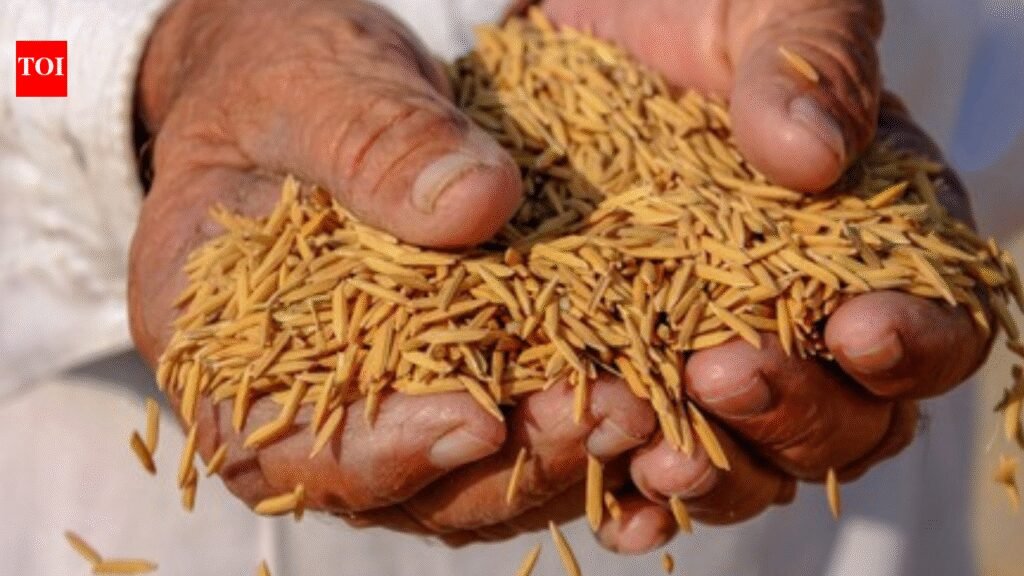 No dip in grain output in last 2 deficit rain years | India News