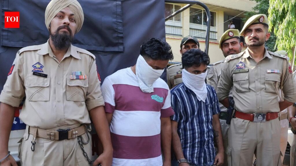 Jammu & Kashmir police bust narco-terror nexus with Punjab links, arrest 20 | India News