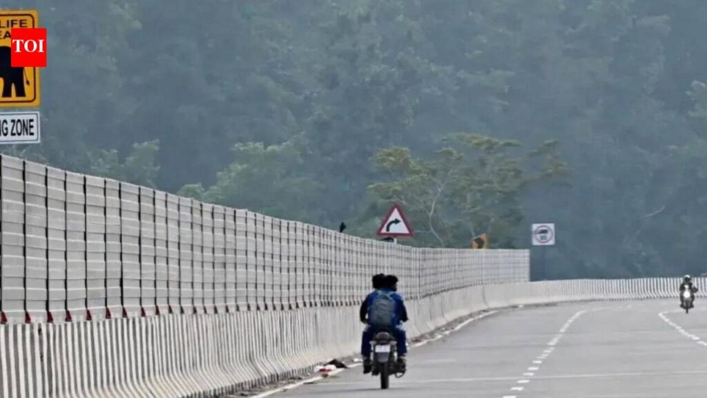 Revolutionizing Highways: NHAI’s AI Tool ‘Margsarthi’ Detects Project Discrepancies | India News
