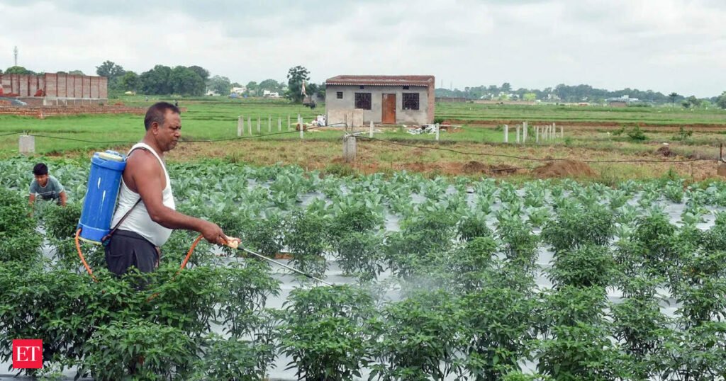 Weak start to monsoon seen clouding Kharif season outlook: Report