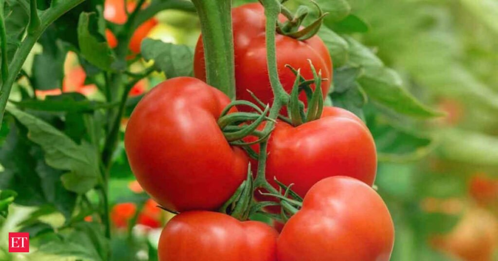 Tomato, onion stoke fears of higher food inflation