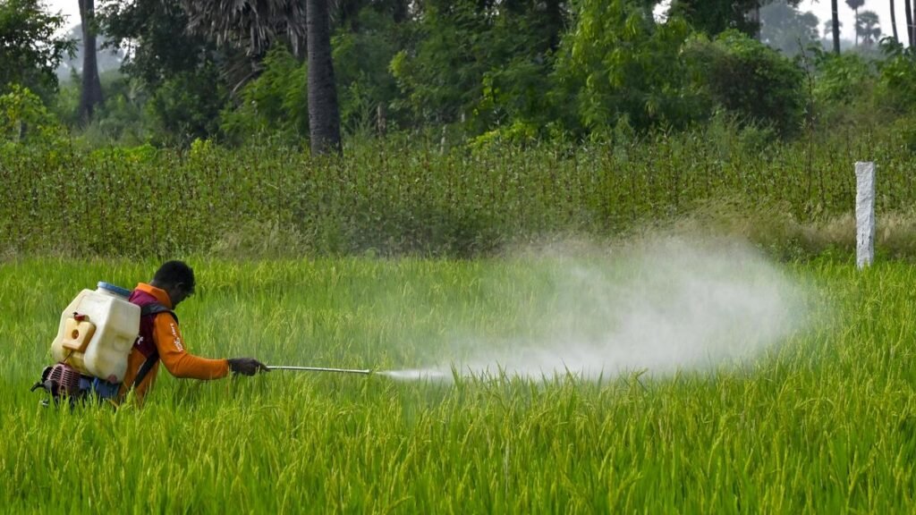 The human cost of a deadly weed killer: banning of paraqua in Telangana