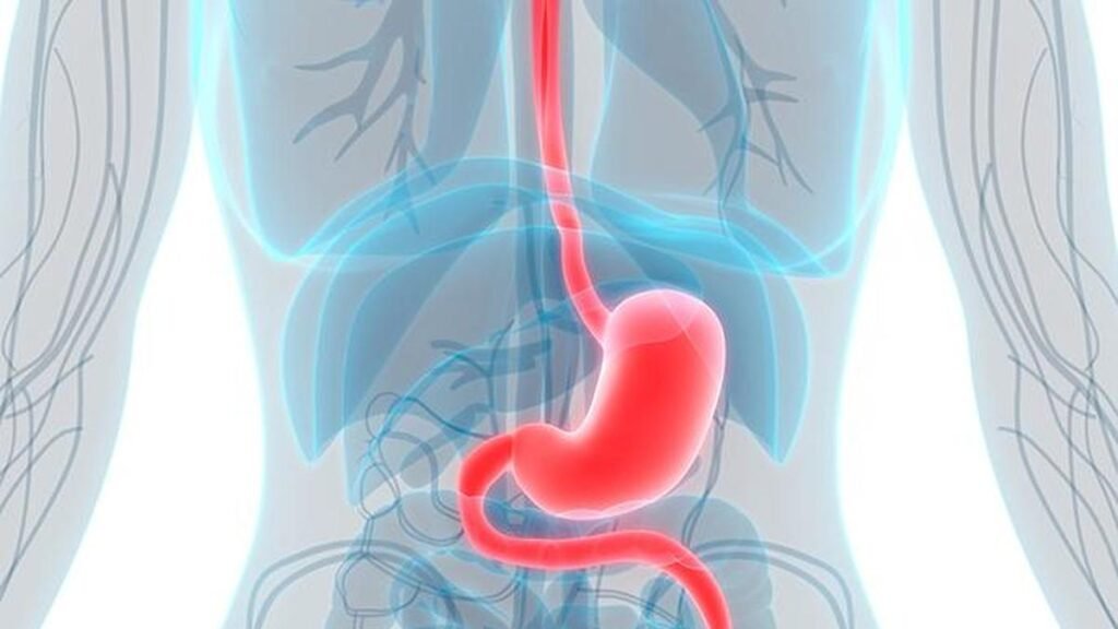 Navigating stomach cancer risks and early detection in women