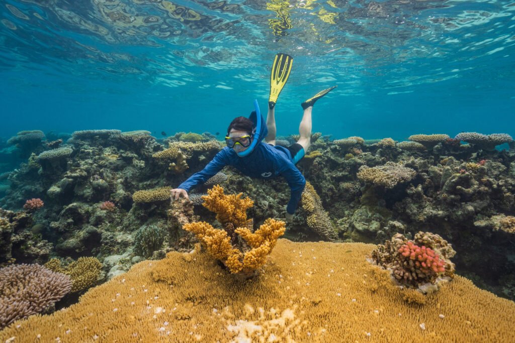 As Global Warming Threatens Corals Worldwide, Woods Hole Scientists Search for ‘Super Reefs’ That Can Take the Heat