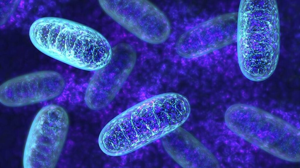 Hypermetabolism linked to early-life adversity can be harmful in long term: Study