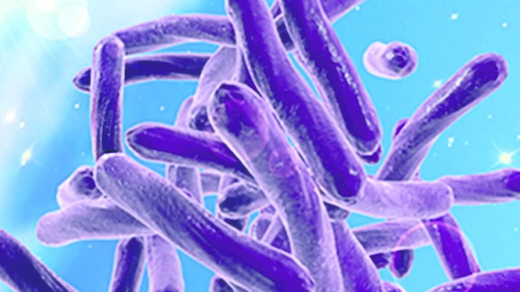 Socioeconomic disparities could be major predictors of antimicrobial resistance: Study