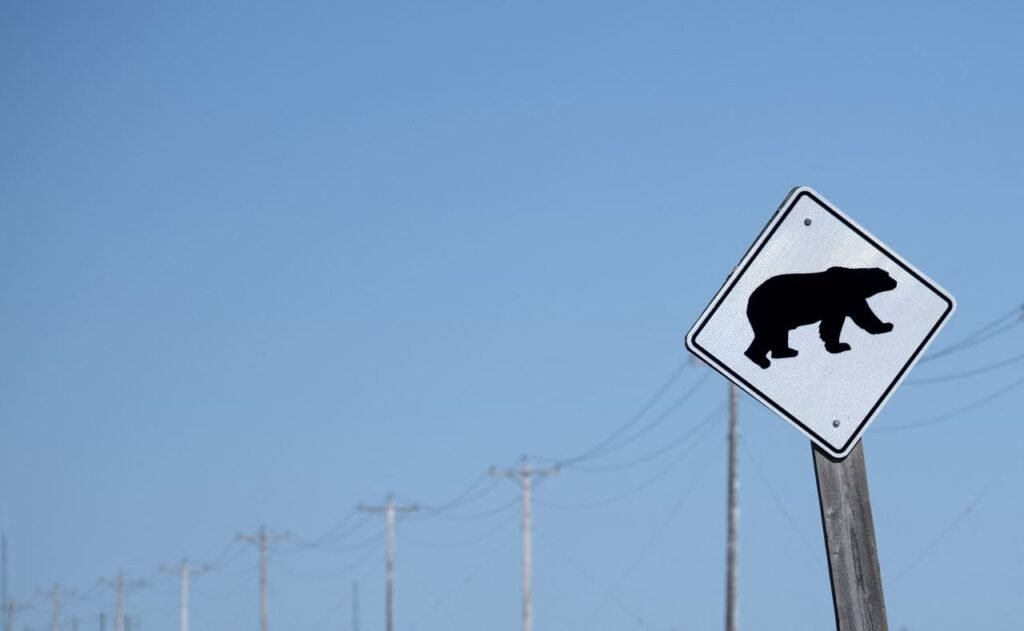 Micron, Intel drag the tech sector into a new bearish phase. Will the correction last this time?