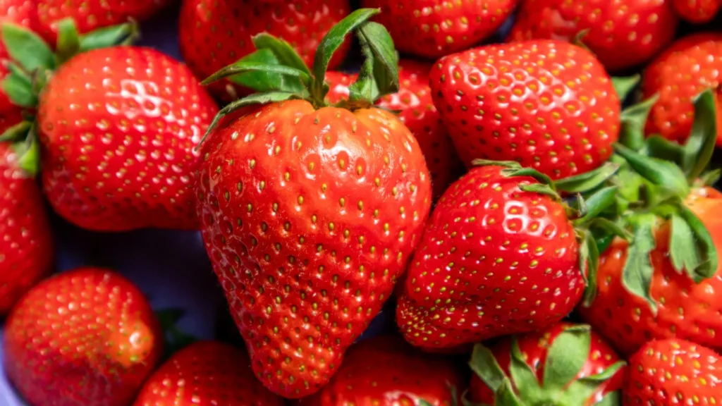 DNA time stamps reveal the strawberry’s surprising origins