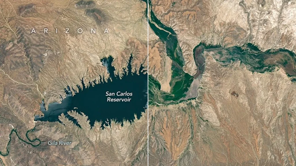 Arizona reservoir nearly vanishes after snowpack collapse triggers massive fish kill