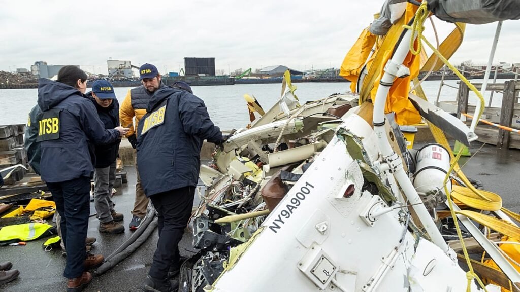 Goose flock behind crash of Siemens CEO’s family in New York