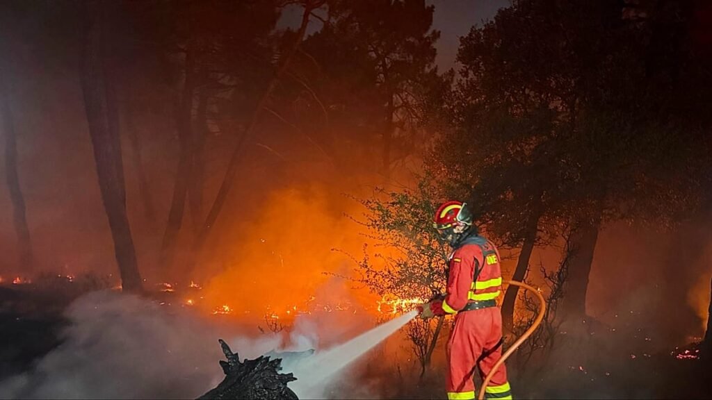 Zaragoza wildfire nears 12,000 hectares and is Spain’s biggest of the year