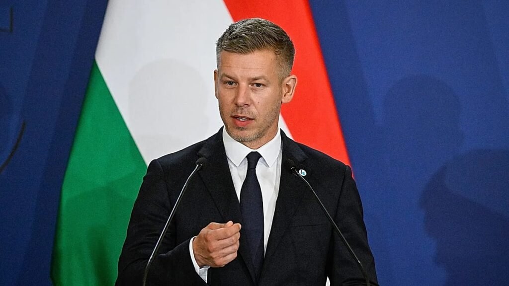 EU far right cries foul, but Commission unfazed by Magyar’s ‘Purgatorium’