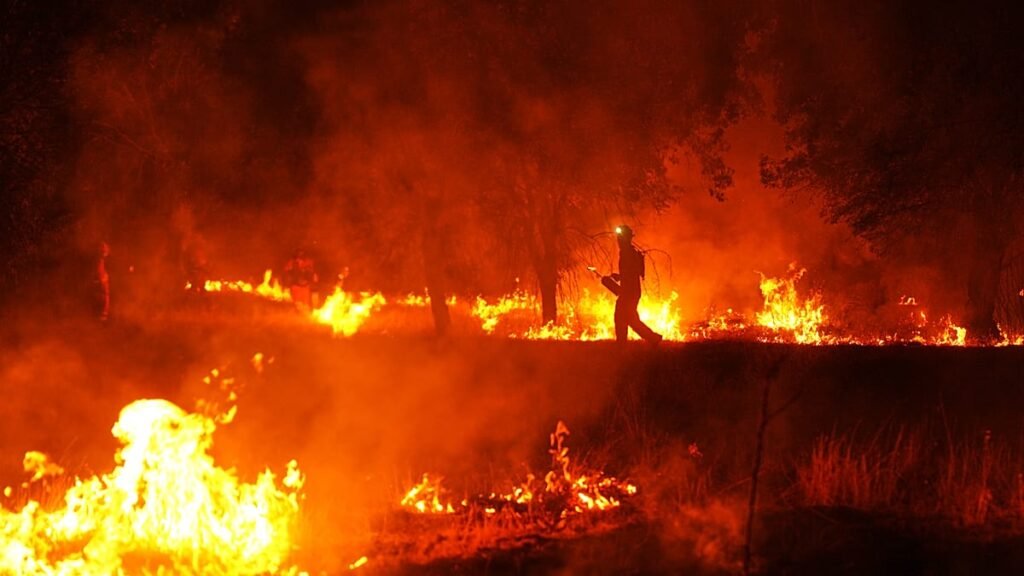 Who started the fire? Inside Europe’s arson intelligence gap