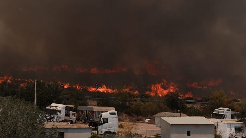 Wildfires in Spain: Zaragoza blaze destroys over 15,400 hectares