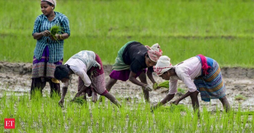 Kharif sowing slow, 15 more districts face rain deficiency
