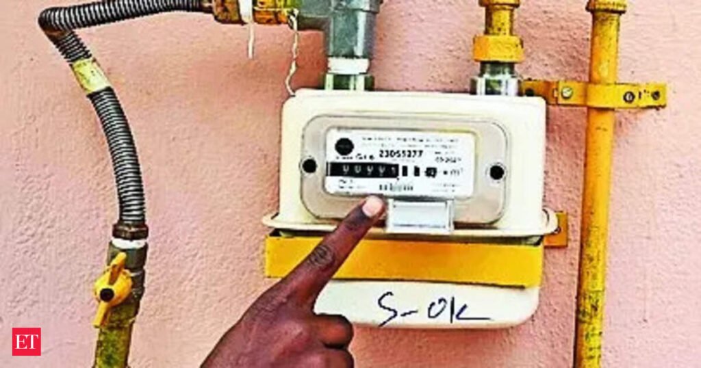 City gas companies say government’s 100k PNG connections-a-day target unviable