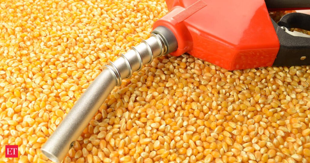 Grain-based ethanol accounts for nearly 67% of supplies; maize remains the largest feedstock