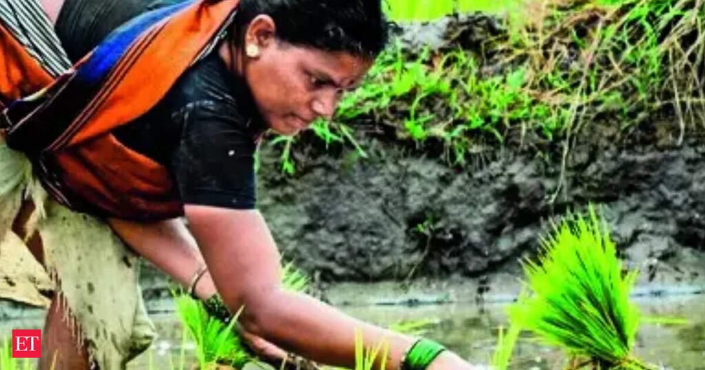 Rainfall deficit narrows to 24%, to boost Kharif sowing in July