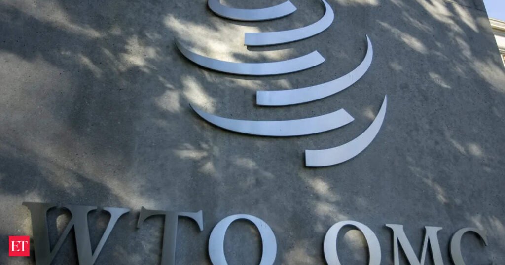 India raises questions at WTO over interim arrangement to implement e-commerce pact