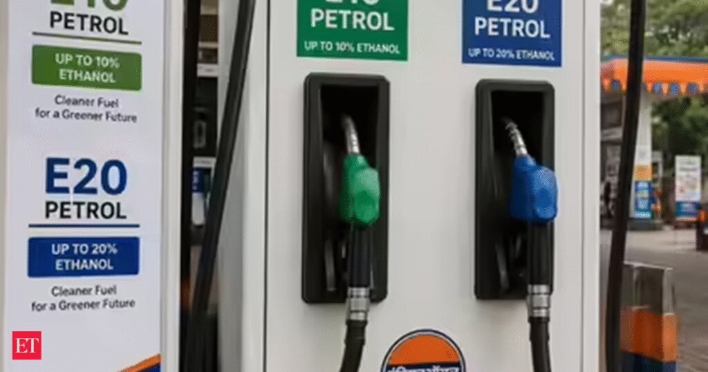Oil Ministry plays sunk cost card, mounts fresh E20 defence