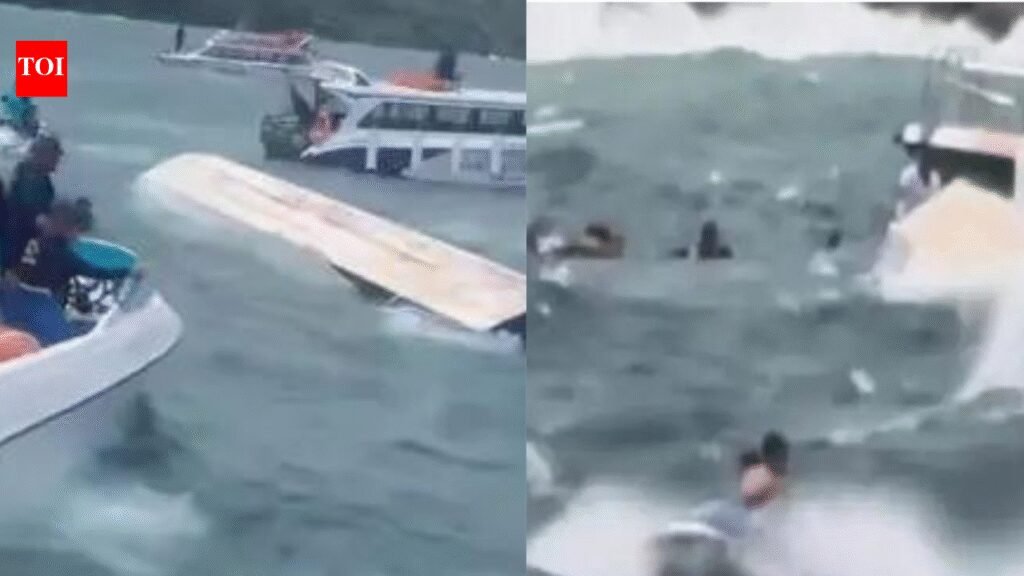 15 Indians killed in Vietnam boat accident: 10 from Tamil Nadu, 3 from Andhra – embassy releases list of victims | India News